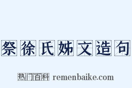 祭徐氏姊文造句是什么意思的图片